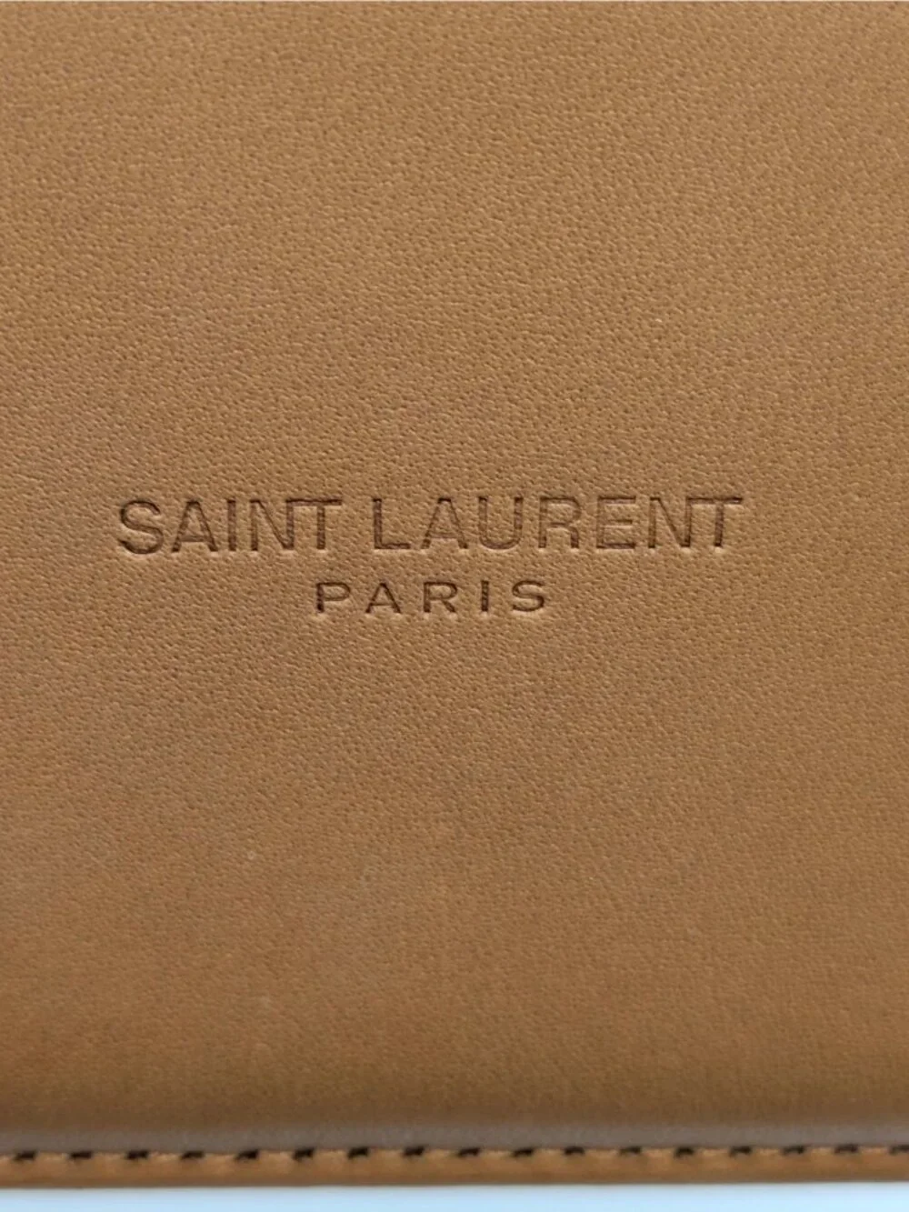 Saint Laurent Canvas Calfskin Mini Gaby Vanity Case Desert Dust Brick 834213
